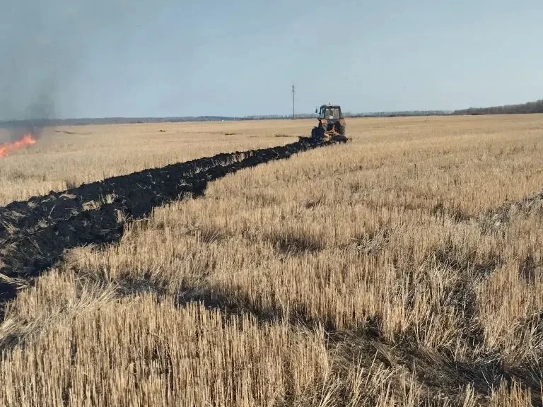 В Ульяновске потушен первый лесной пожар.
