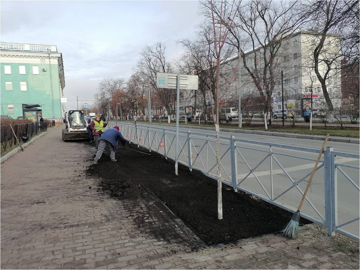 Деревья в центре Ульяновска защитят от воздействия противогололёдных реагентов.