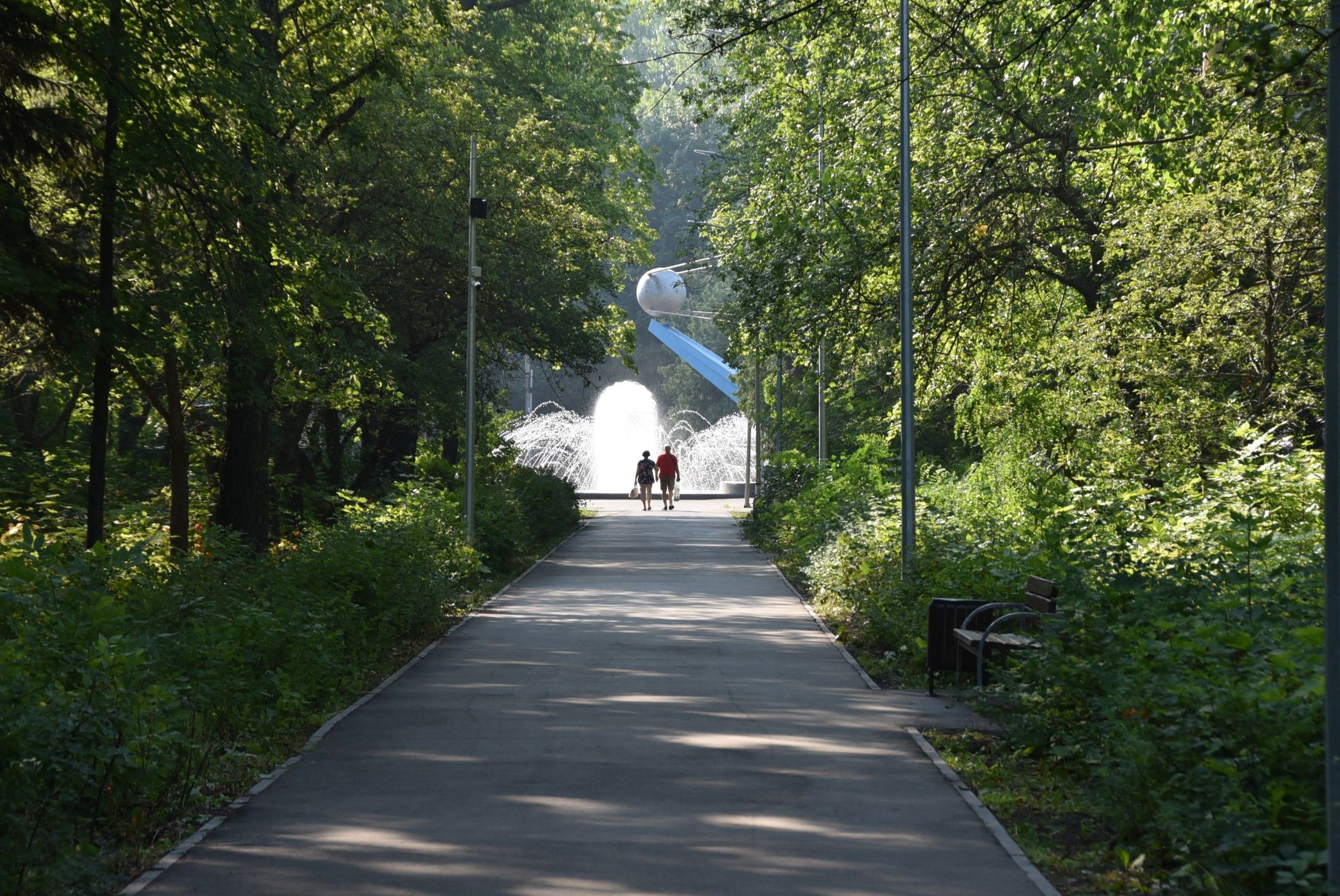 Более 4,5 миллионов рублей грантовых средств привлечено в этом году на развитие парков Ульяновска.
