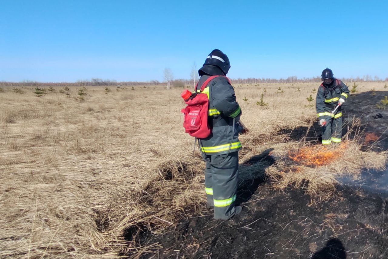 По востоку Ульяновской области объявлена высокая пожарная опасность.