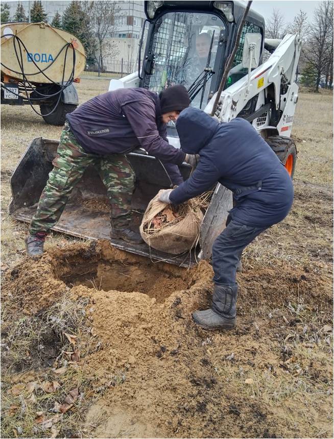 В ульяновском сквере Антонова в этом году высадили больше трёхсот деревьев.