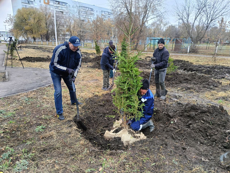 В честь защитников Отечества в Ульяновске создают новый сквер.