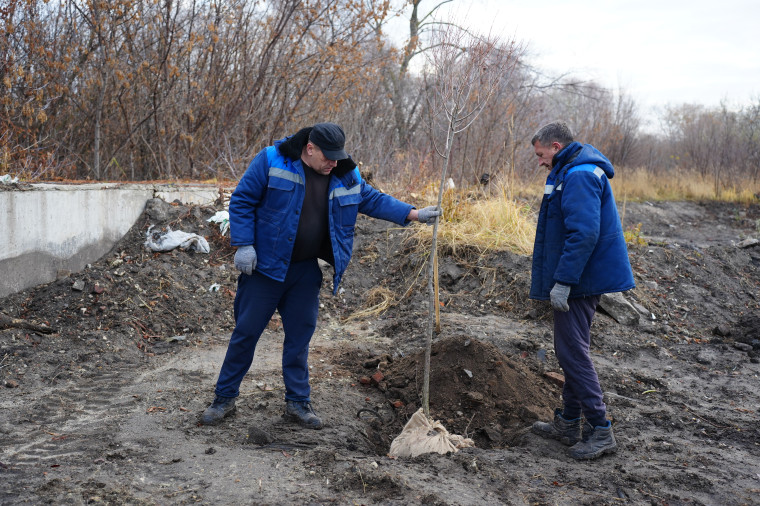 В Ульяновске озеленяют сквер на берегу Свияги.