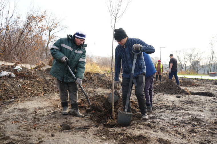 В Ульяновске озеленяют сквер на берегу Свияги.